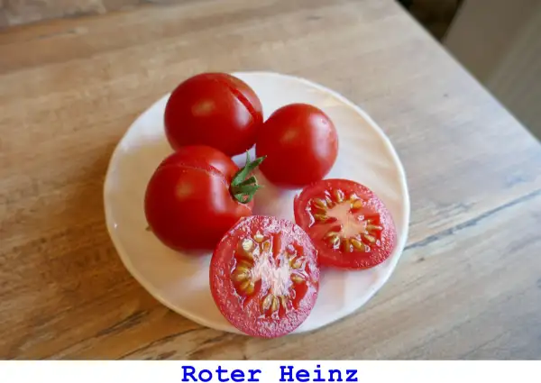Tomaten: Roter Heinz