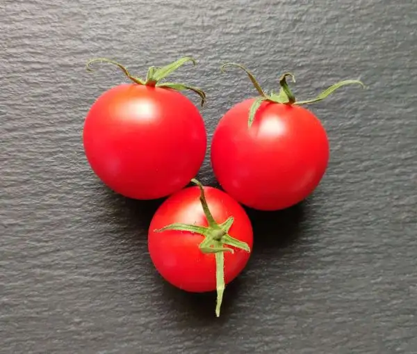 Tomaten: Roter Heinz