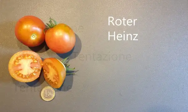 Tomaten: Roter Heinz