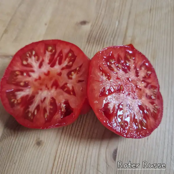 Tomaten: Roter Russe
