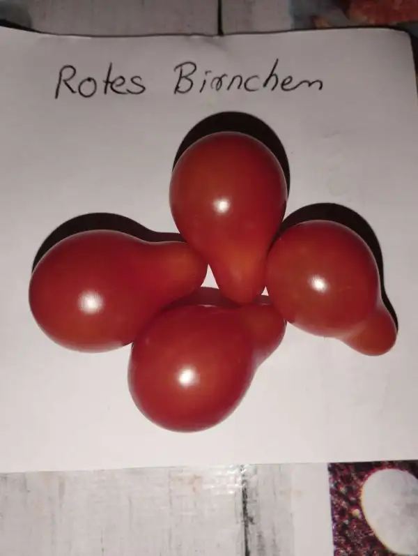 Tomaten: Rotes Birnchen