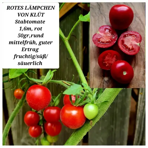 Tomaten: ROTES LÄMPCHEN VON KLÜT