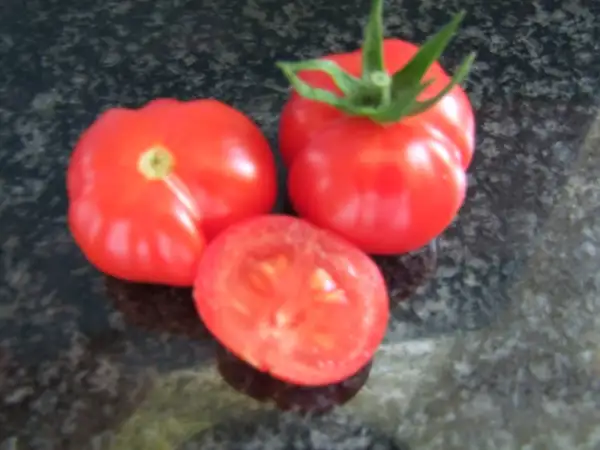 Tomaten: Rotkäppchen - Buschtomate