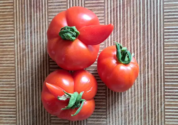 Tomaten: Rotkäppchen