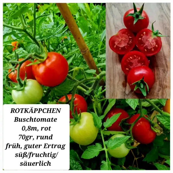 Tomaten: Rotkäppchen