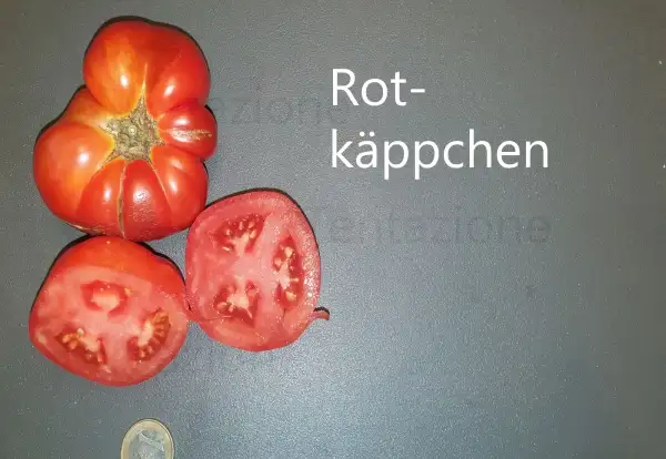 Tomaten: Rotkäppchen