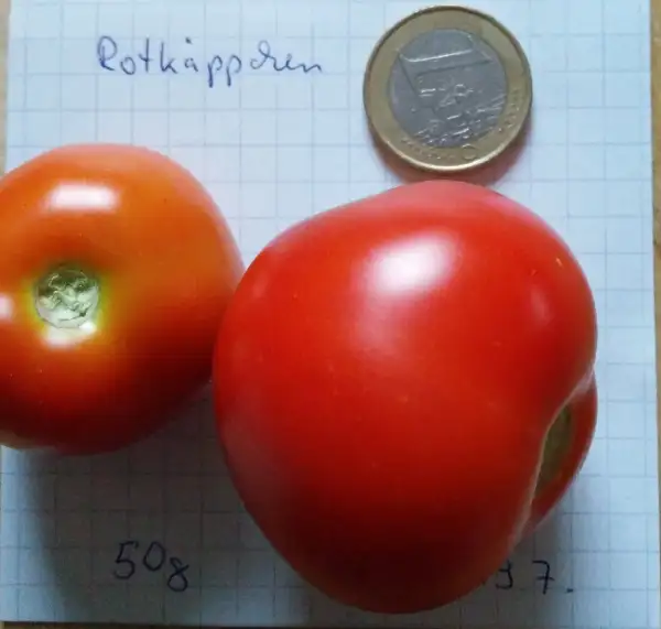 Tomaten: Rotkäppchen