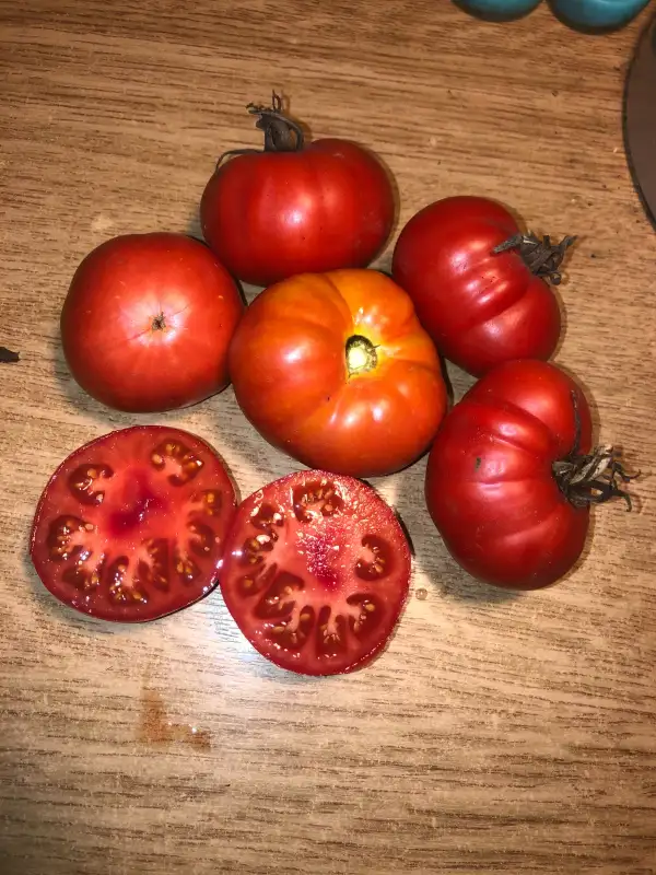 Tomaten: Rouge d