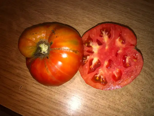 Tomaten: Rouge de Corse