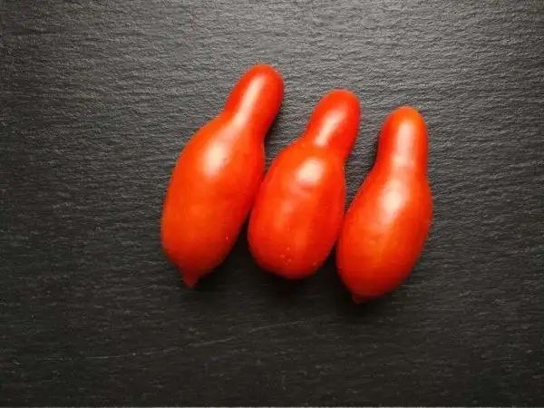 Tomaten: Royal Finger