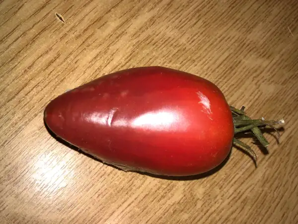 Tomaten: Rozalie de Budila