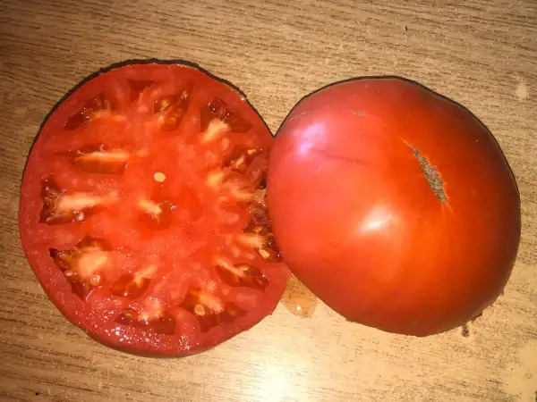 Tomaten: Rozamarin Funtovy
