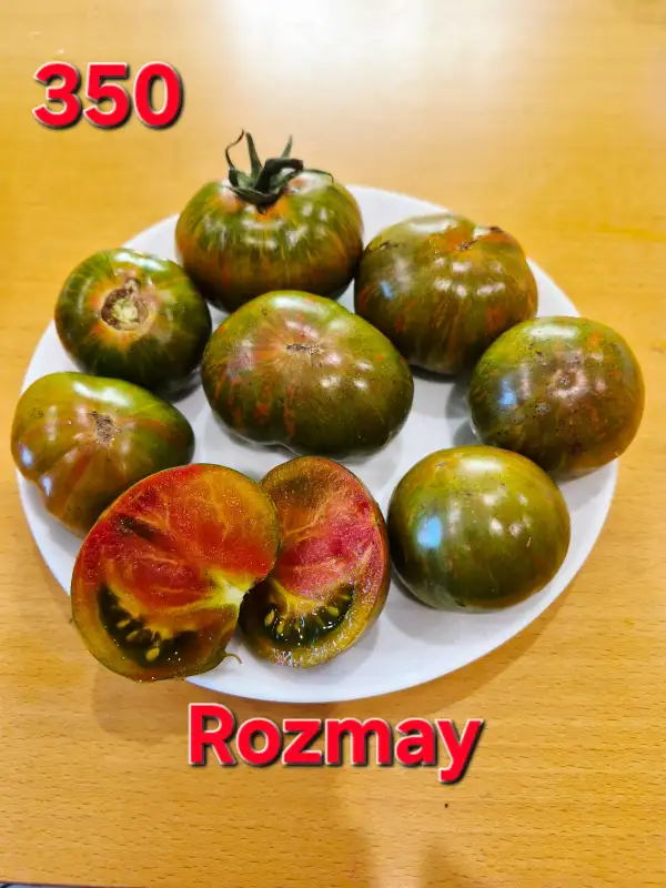 Tomaten: Rozmay