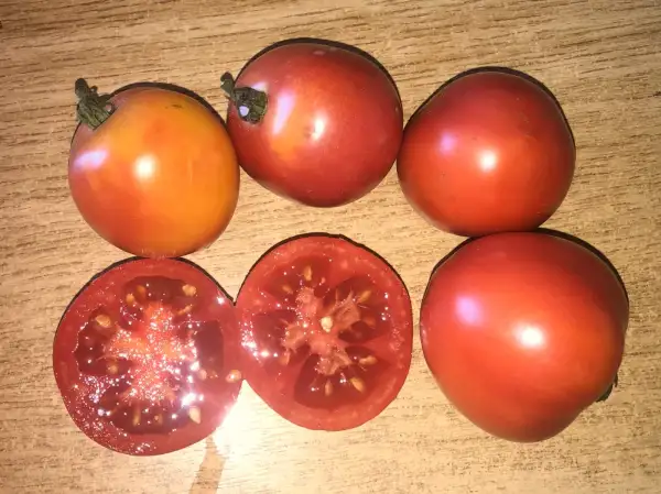 Tomaten: Rozoviy Angel