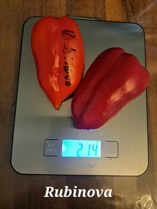 Chili / Paprika: Rubinova