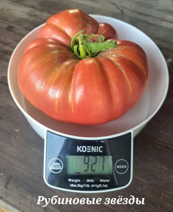 Tomaten: Rubinovie zvjozdy