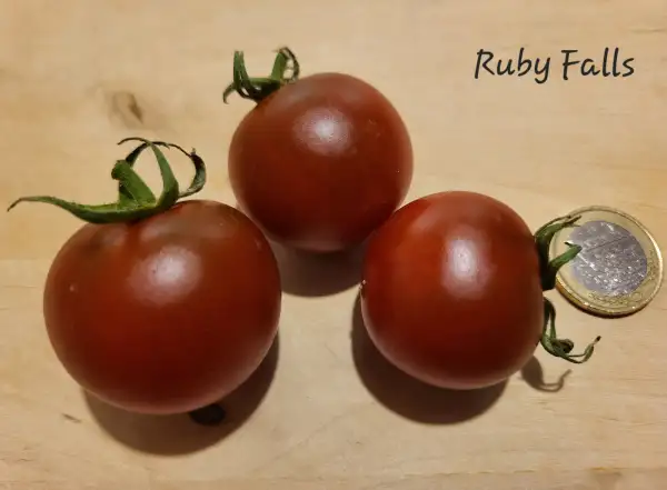Tomaten: Ruby Falls