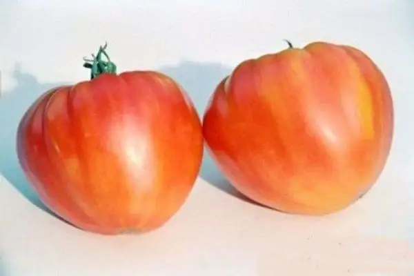 Tomaten: Ruby Gold