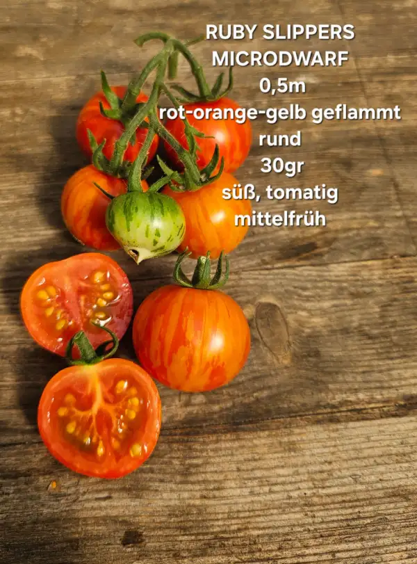 Tomaten: Ruby Slippers