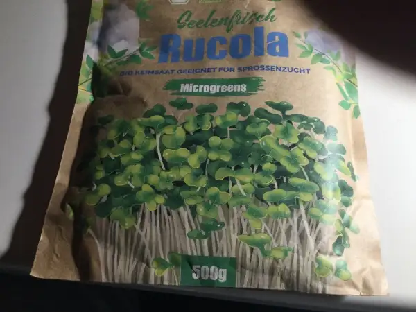 andere Gemüse: Rucola Eruca sativa