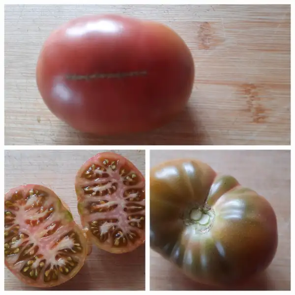 Tomaten: Rumänien