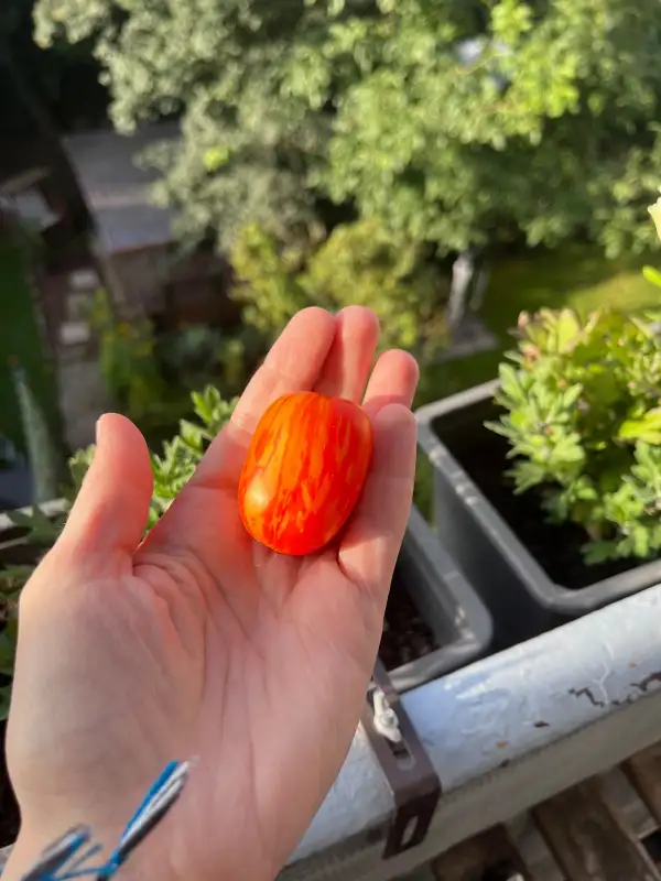 Tomaten: Rumbling red stripe