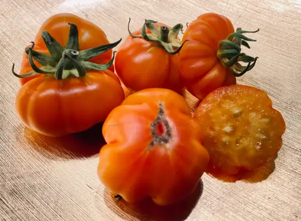 Tomaten: Rumi Banjan