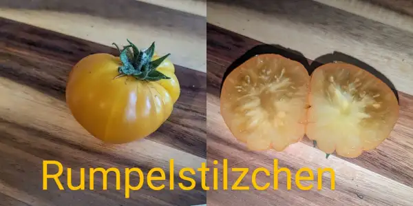 Tomaten: Rumpelstilzchen