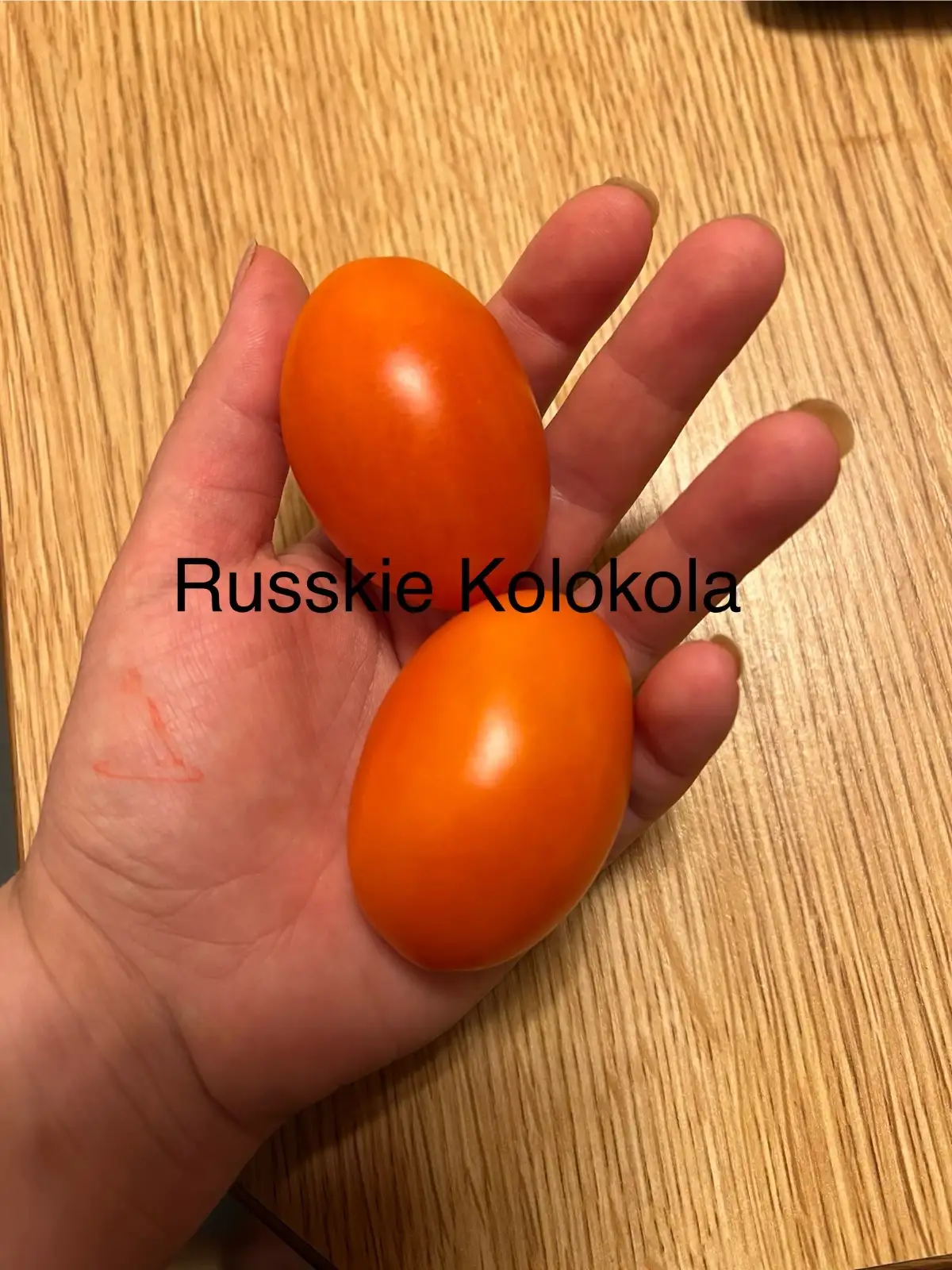Tomaten: Russkie Kolokola