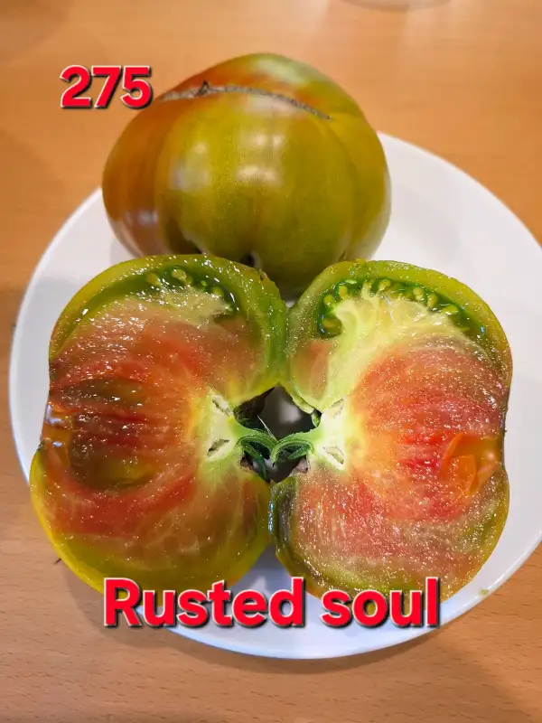 Tomaten: Rusted soul