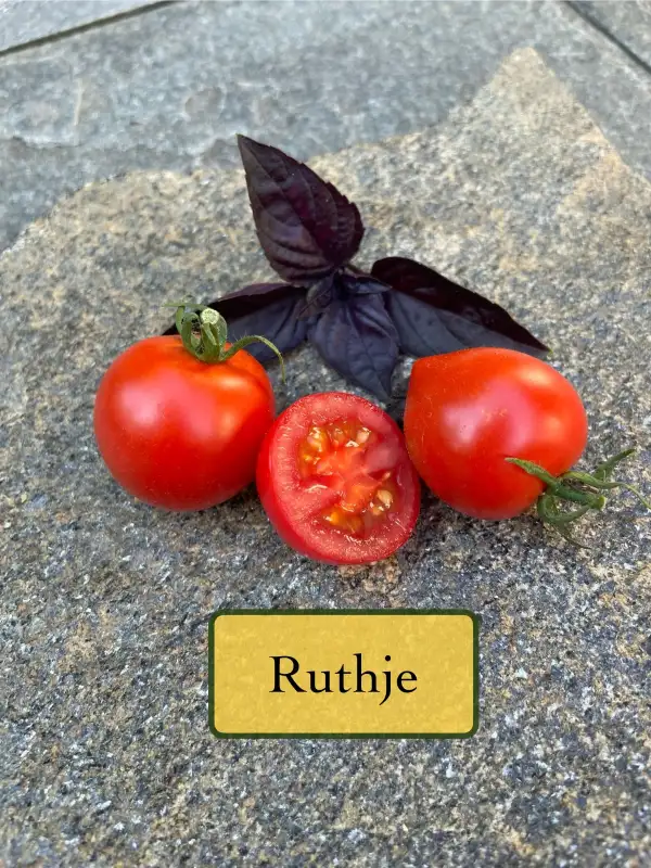 Tomaten: Ruthje