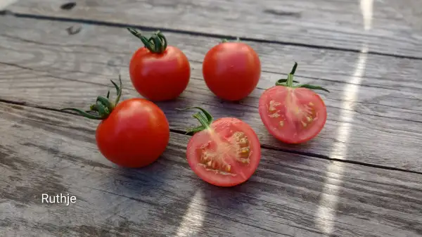 Tomaten: Ruthje