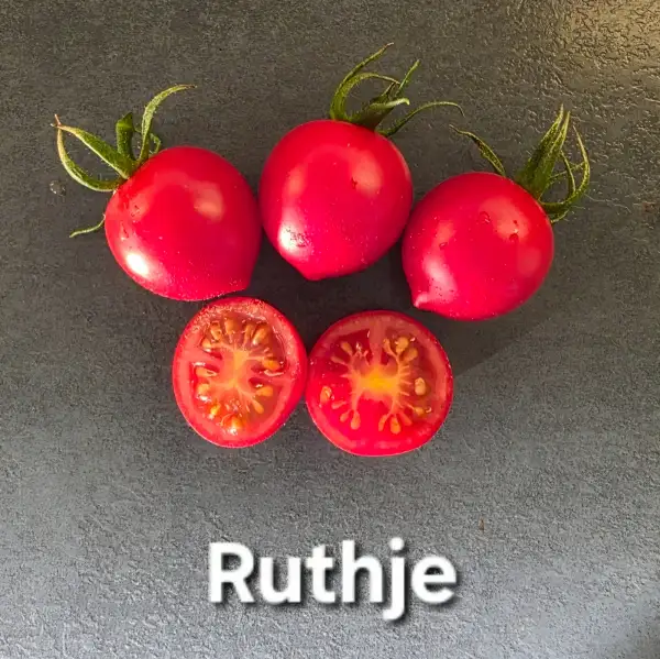 Tomaten: Ruthje