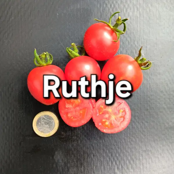 Tomaten: Ruthje