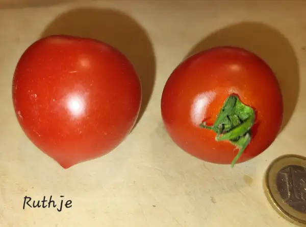 Tomaten: Ruthje