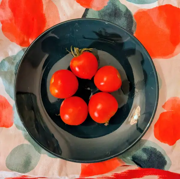 Tomaten: Ruthje