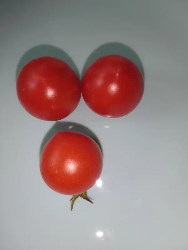 Tomaten: Ruthje
