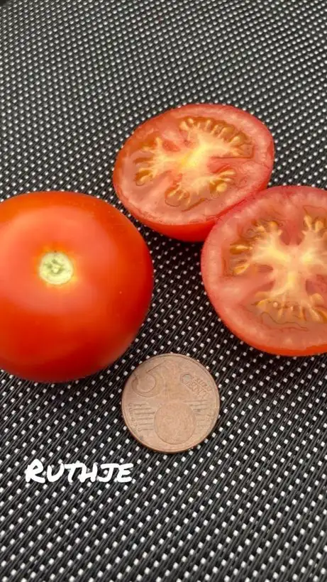 Tomaten: Ruthje