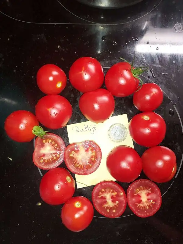 Tomaten: Ruthje