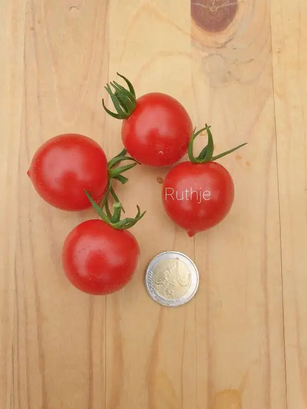 Tomaten: Ruthje