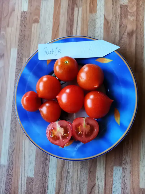 Tomaten: Rutje