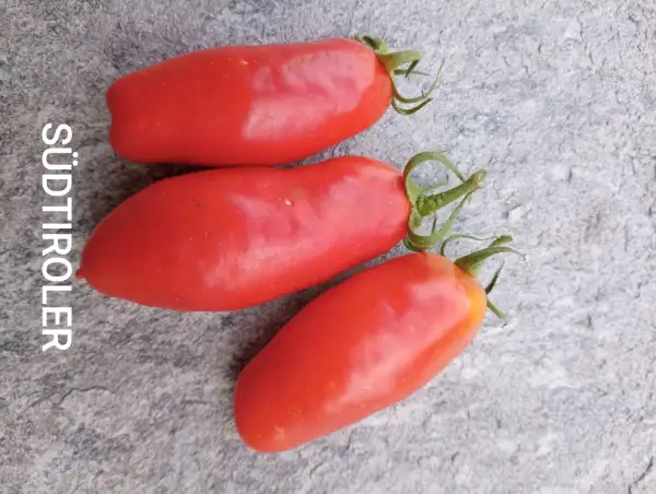Tomaten: Südtiroler