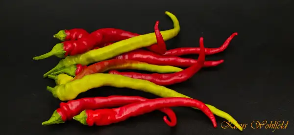 Paprika: Süße Grillchili