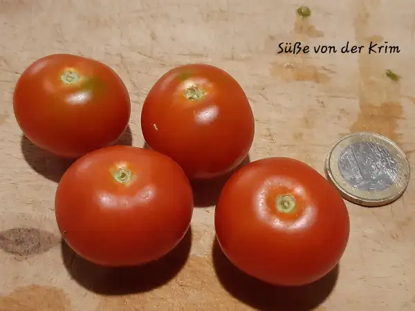 Tomaten: Süße von der Krim