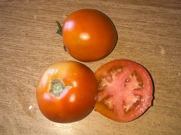 Tomaten: Süsse von Ungarn