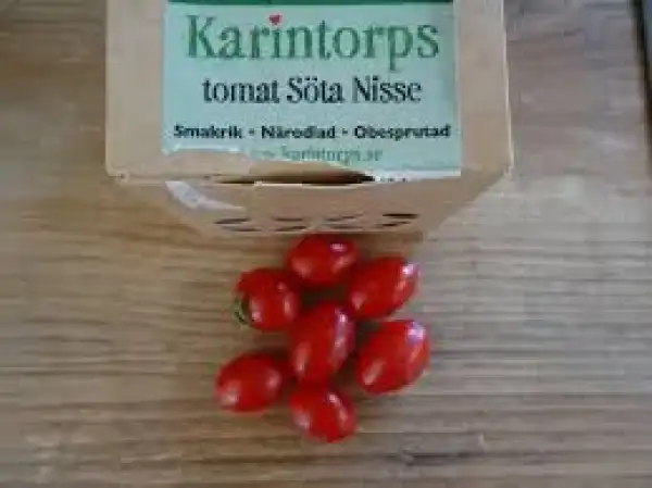 Tomaten: Söta Nisse = schwe. süßer Hauswichtel