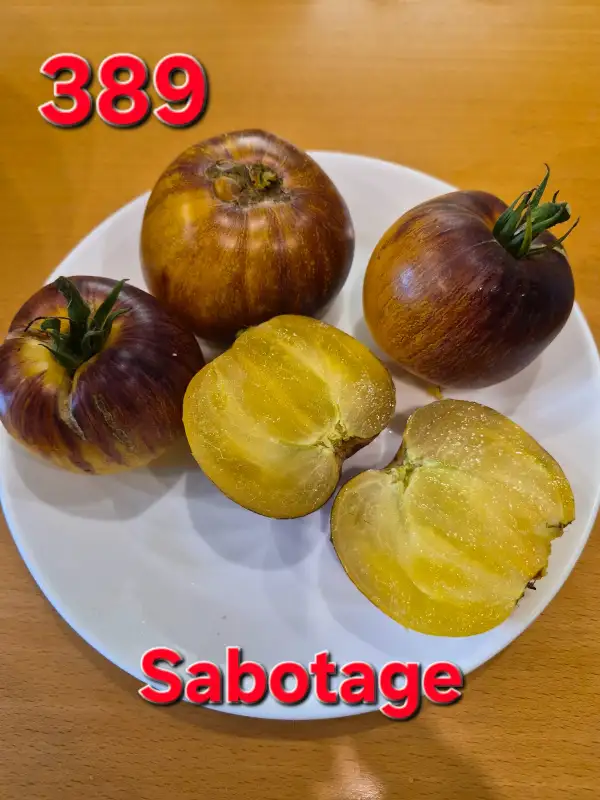 Tomaten: Sabotage