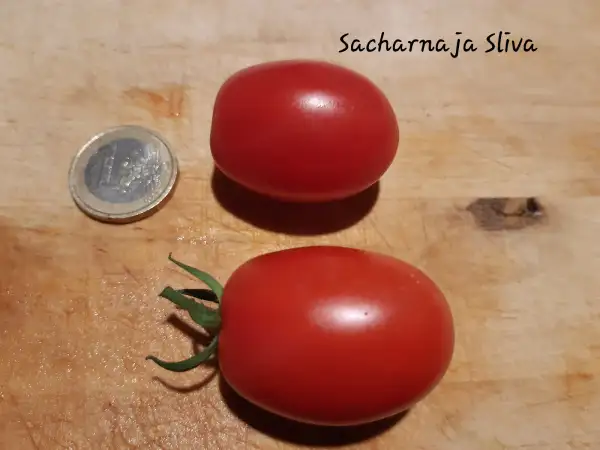 Tomaten: Sacharnaja Sliva