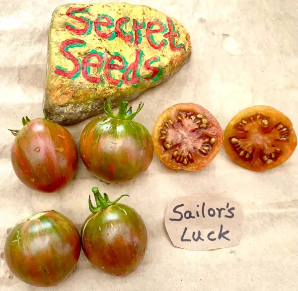 Tomaten: Sailors Luck