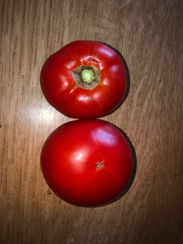 Tomaten: Saint Ignace